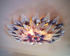Picture of Blown Glass Chandelier | Lotus