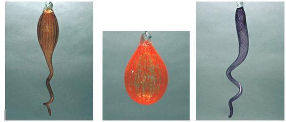 Picture of Blown Glass Chandelier | Cornucopia