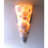 Picture of Wall Sconce | Pipe Dreams