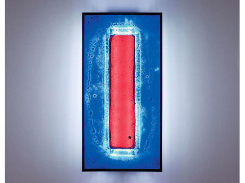 Wall Sconce | Tall Red Window Blue