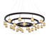 Picture of Ring Chandelier | Onyx | Stratos lll
